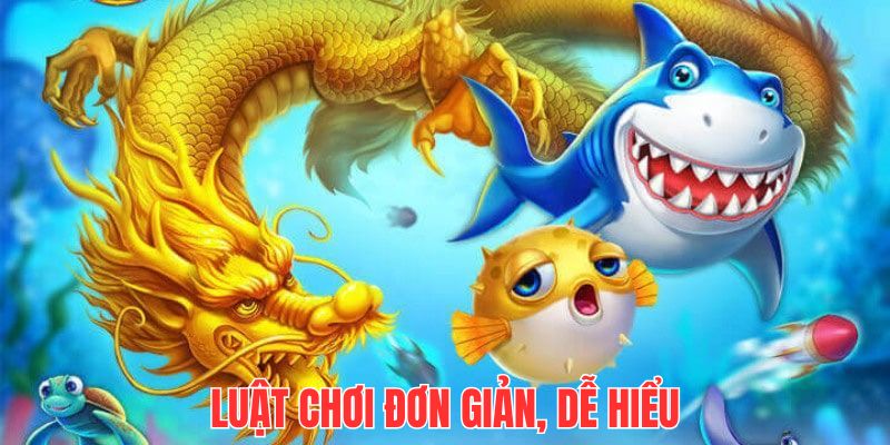 Loại hình giải trí với luật lệ đơn giản, ai cũng có thể chinh phục