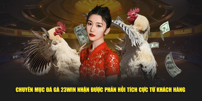 Chuyên mục đá gà 23WIN nhận được phản hồi tích cực từ khách hàng 