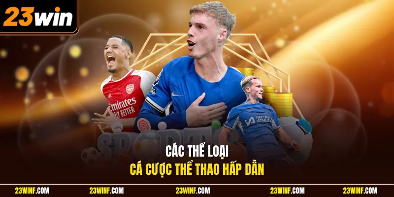 Các thể loại cá cược thể thao hấp dẫn