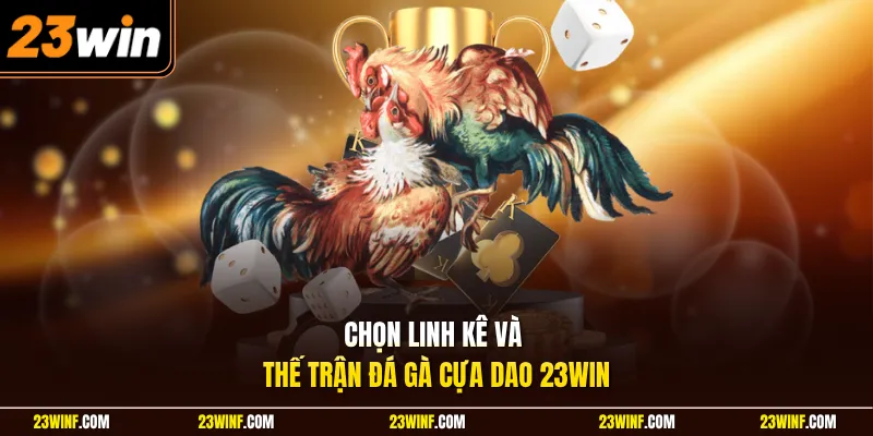 Chọn linh kê và thế trận đá gà cựa dao 23Win