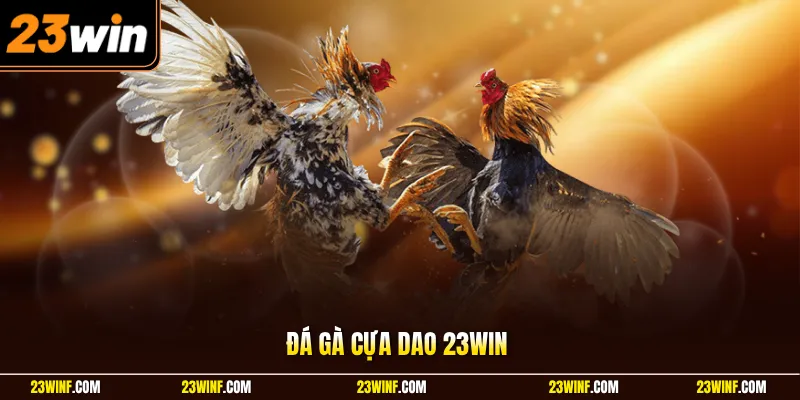 Đá gà cựa dao 23Win