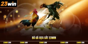 Đá gà cựa sắt 23Win