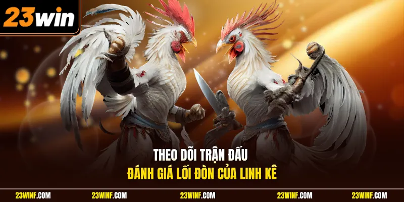 Theo dõi trận đấu đánh giá lối đòn của linh kê
